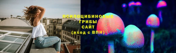 прущие грибы Алексин