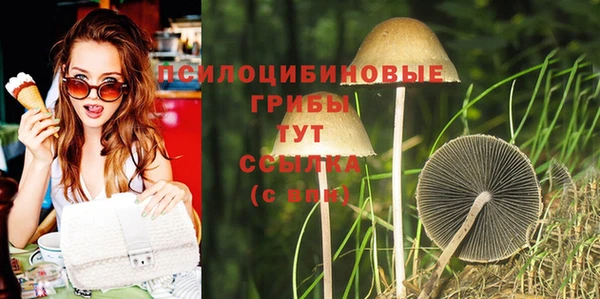 прущие грибы Алексин