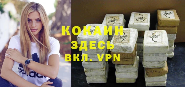 прущие грибы Алексин