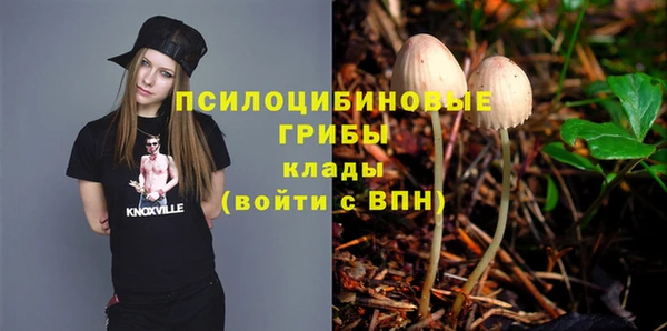 прущие грибы Алексин