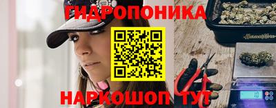 стаф Лениногорск