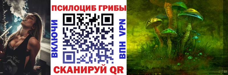 shop какой сайт Тосно Галлюциногенные грибы Psilocybine cubensis
